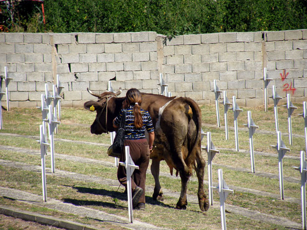 Почаст славним прецима